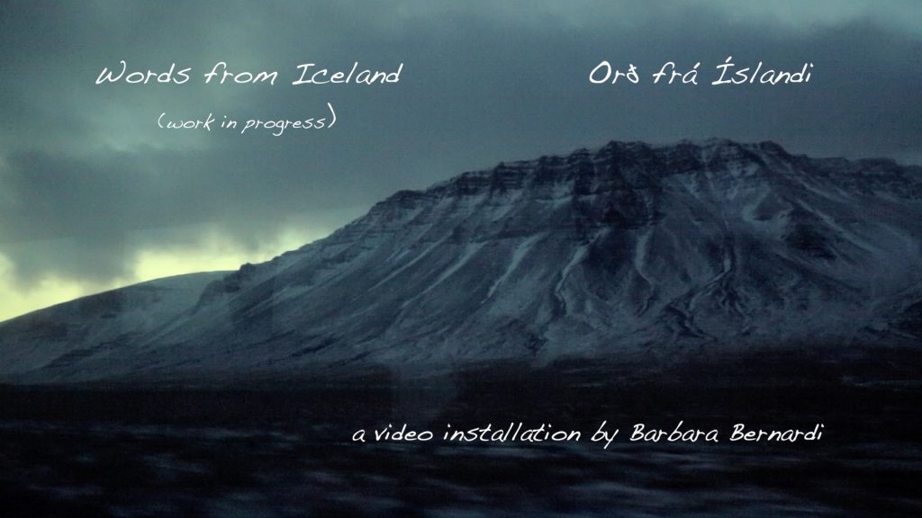 icelandic-translation